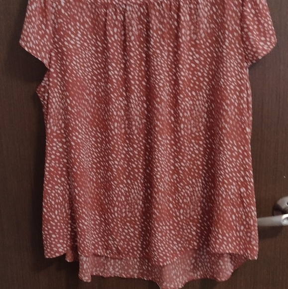 Torrid - Picture 4 of 4